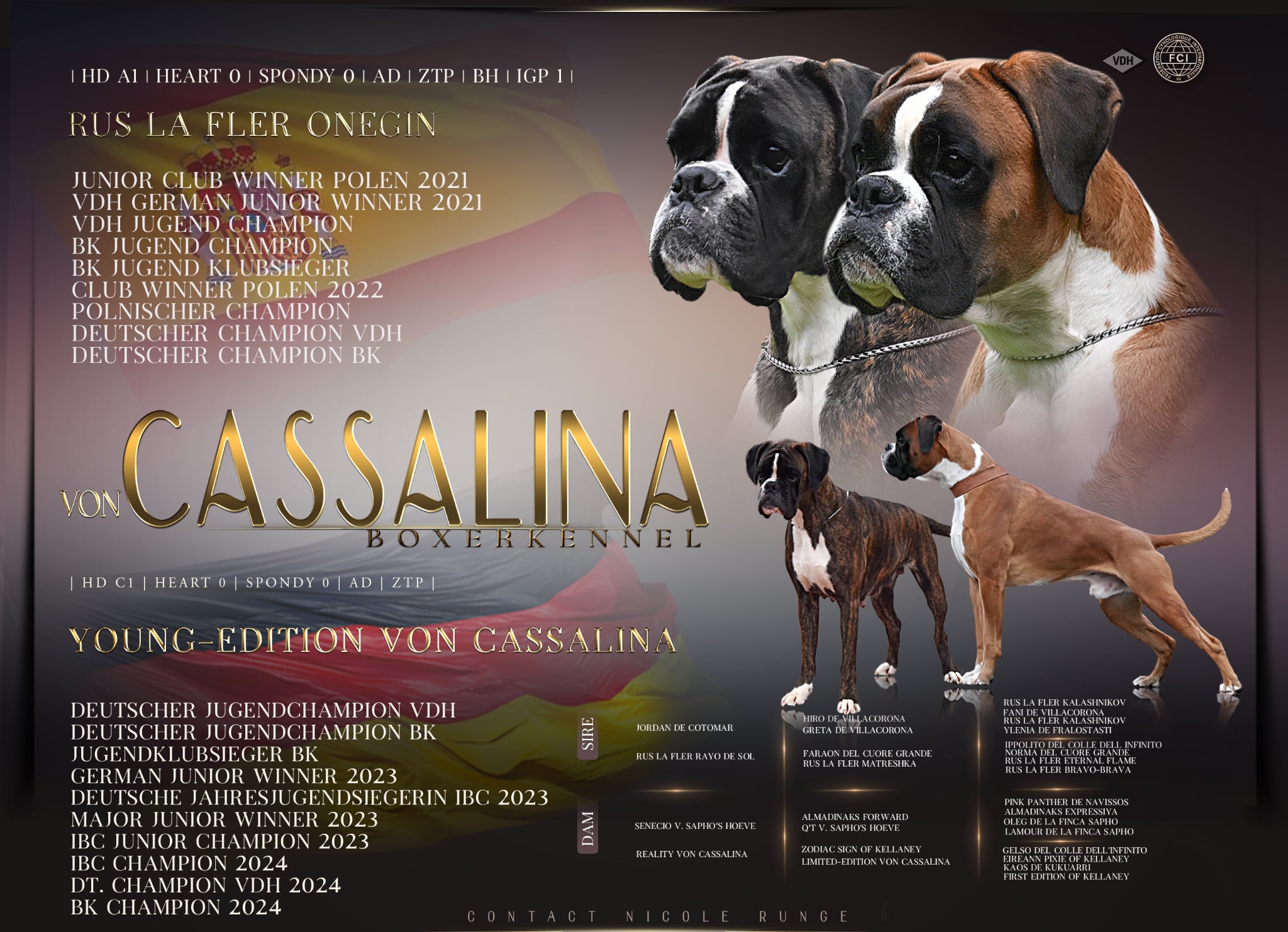 Cassalina