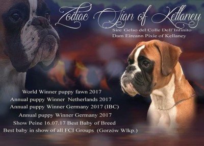 Zodiac